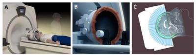 Frontiers | MRI Guided Focused Ultrasound-Mediated Delivery Of ...